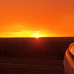 IMG_20220716_051536